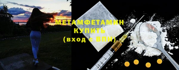 прущие грибы Верхний Тагил