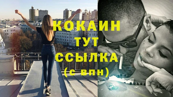 прущие грибы Верхний Тагил