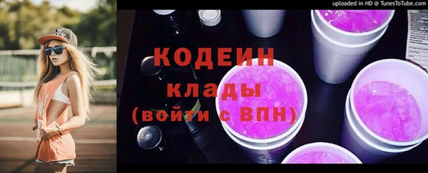 прущие грибы Верхний Тагил