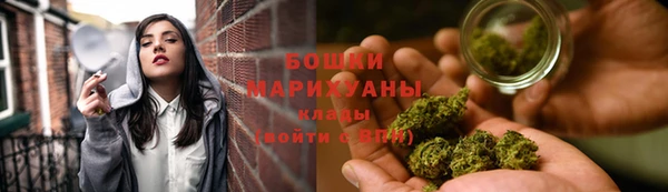 прущие грибы Верхний Тагил