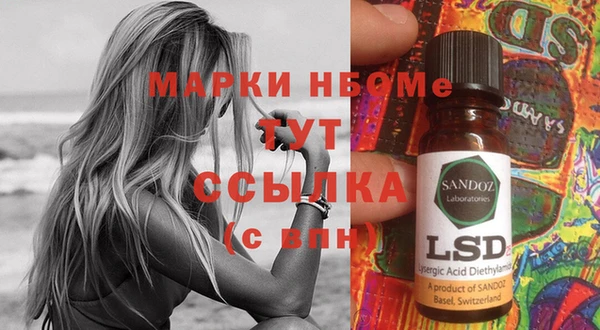 прущие грибы Верхний Тагил