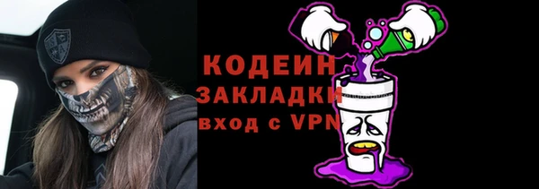 прущие грибы Верхний Тагил