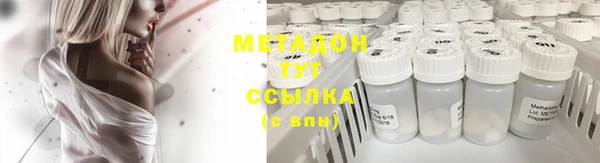 прущие грибы Верхний Тагил