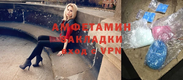 прущие грибы Верхний Тагил