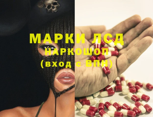 прущие грибы Верхний Тагил