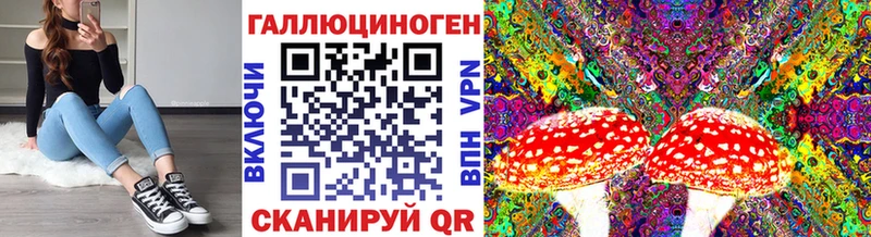 Купить  Белозерск  Псилоцибиновые грибы Cubensis 