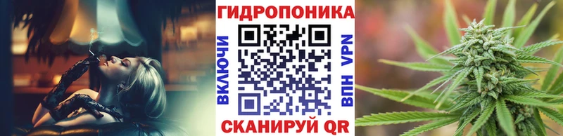 Шишки марихуана сатива Купить Белозерск
